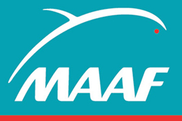 Maaf