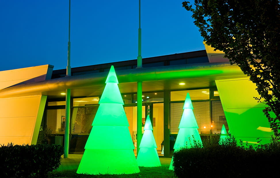 Sapins lumineux verts devant un bâtiment contemporain
